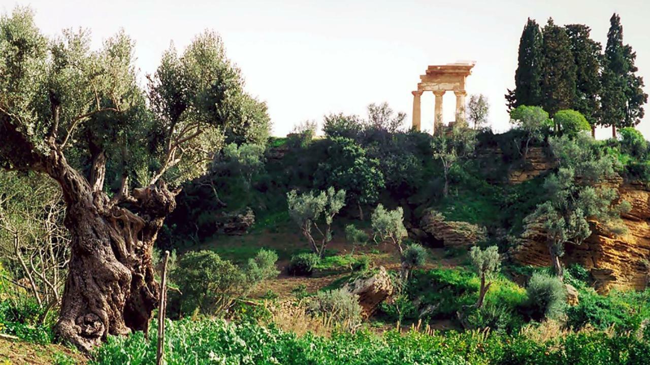 La Citta Degli Dei Bed & Breakfast Agrigento Luaran gambar